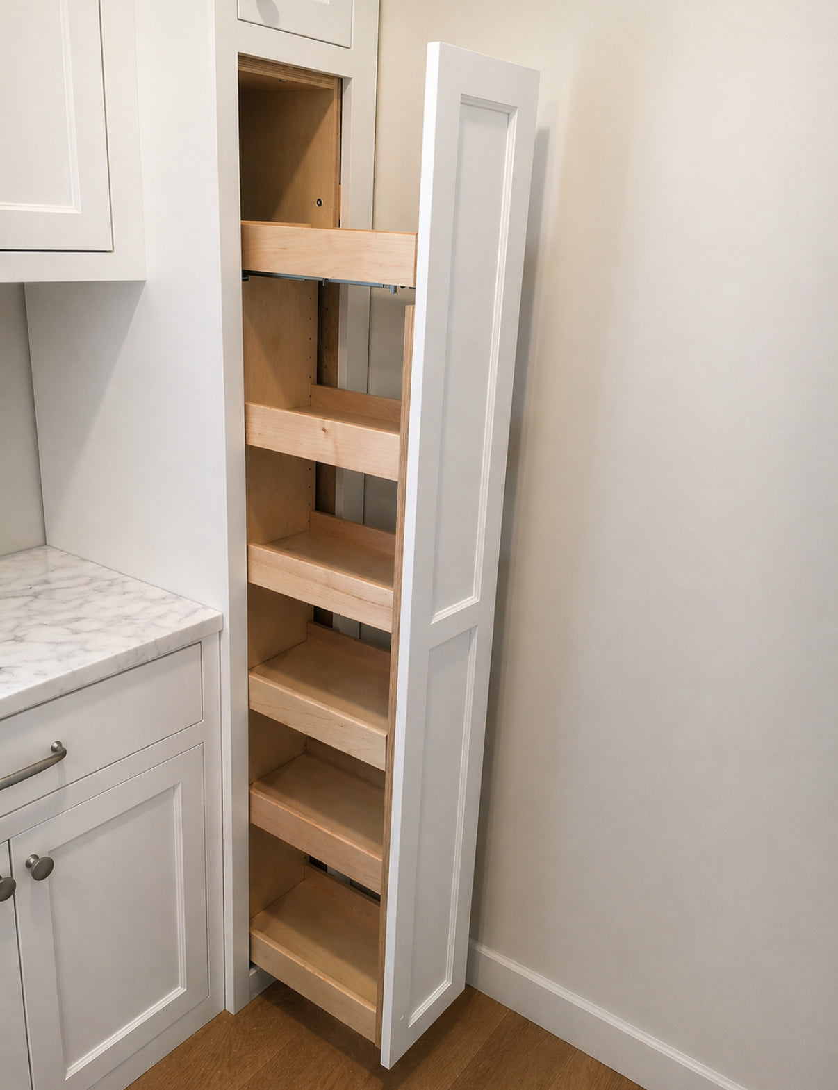 Pull Out Shelf Organizer